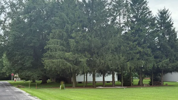 a big yard with large trees