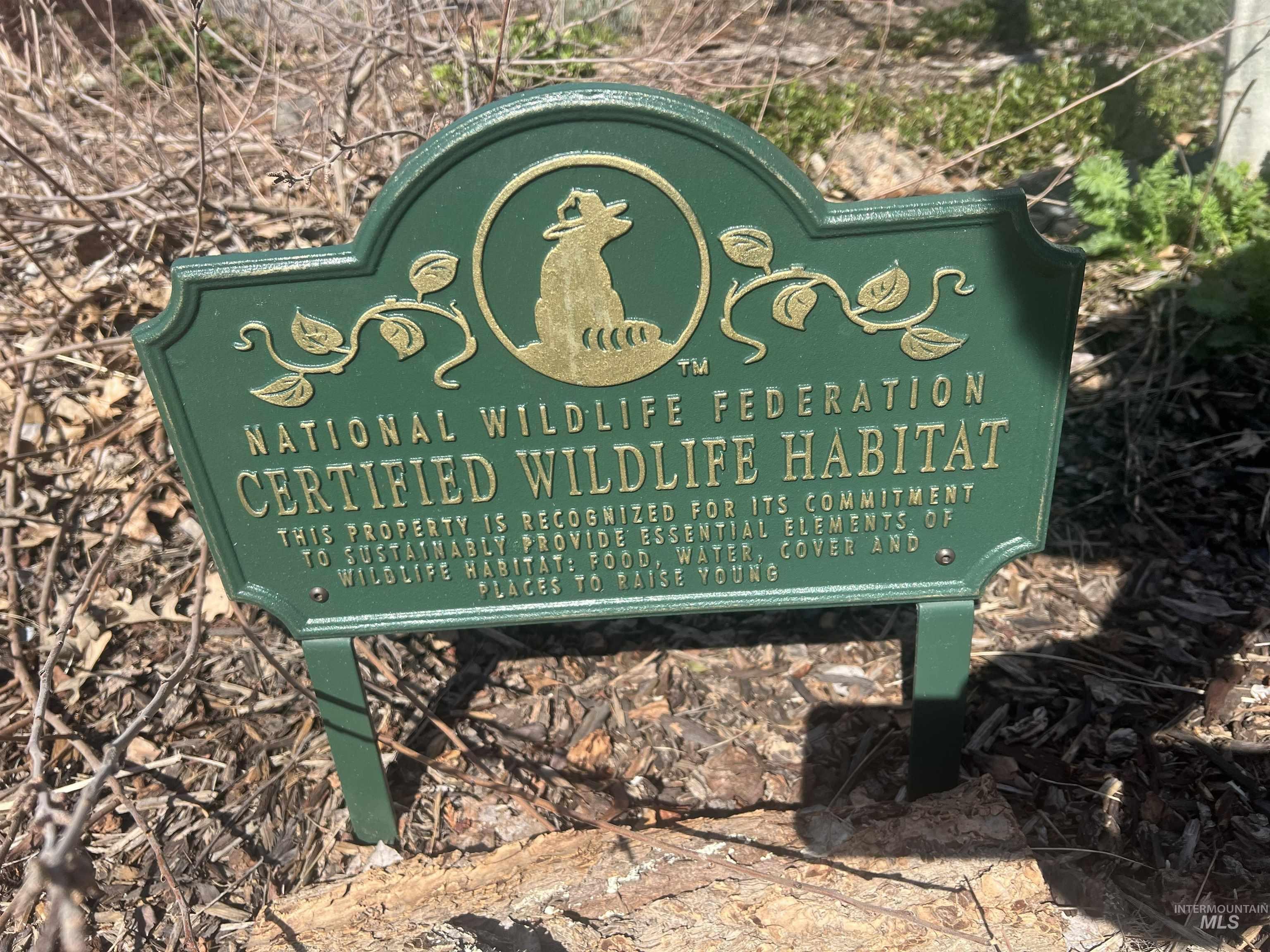 856 East 8th Street Moscow, ID 83843 - Photo 45 of 50