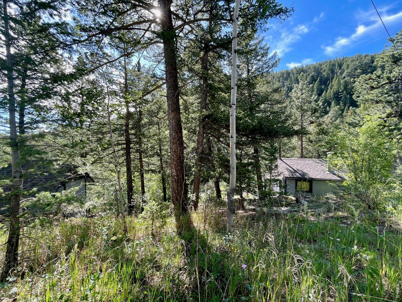 10763 Twin Spruce Road Golden, CO 80403 - Photo 2 of 40