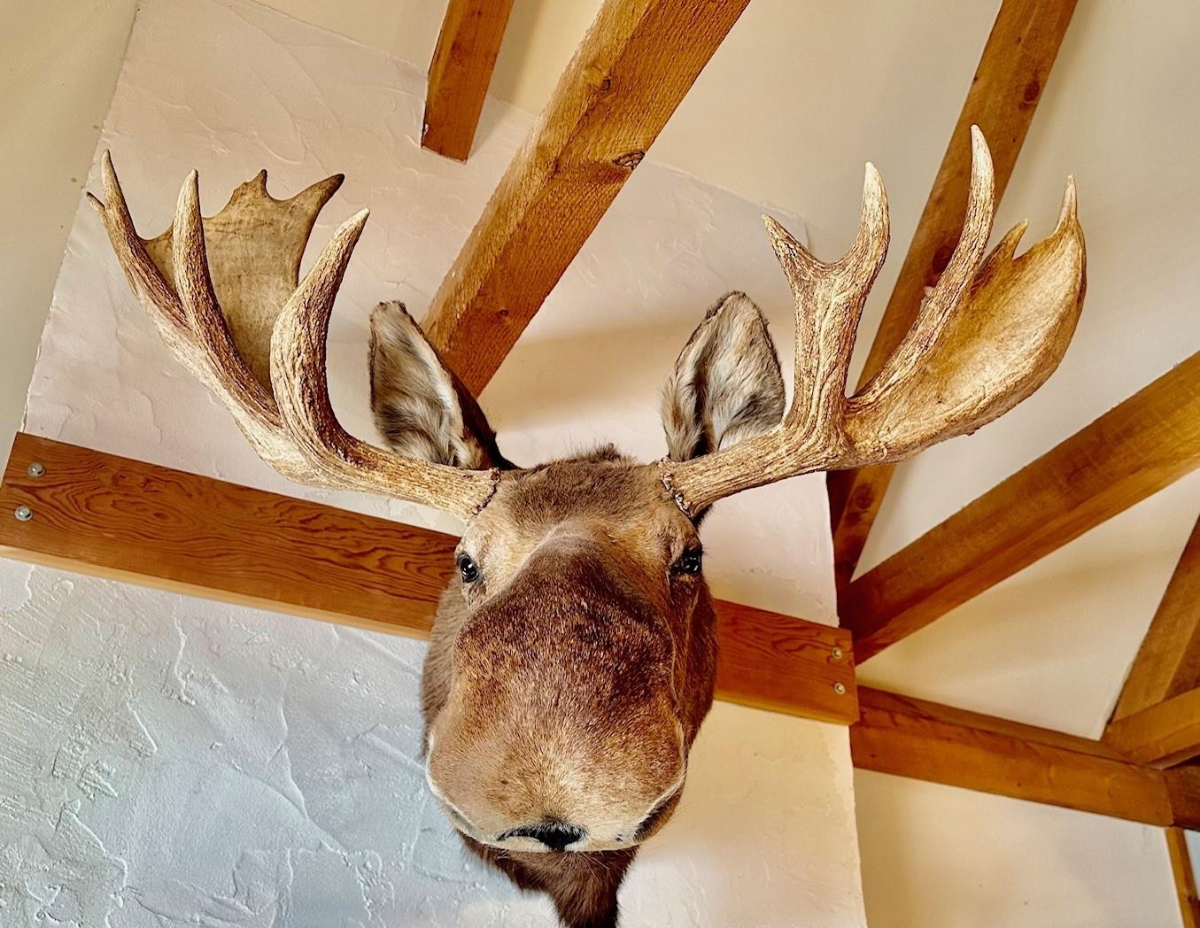 233 Highway 30 Winhall, VT 05340 - Photo 8 of 38 Gallery Image 8