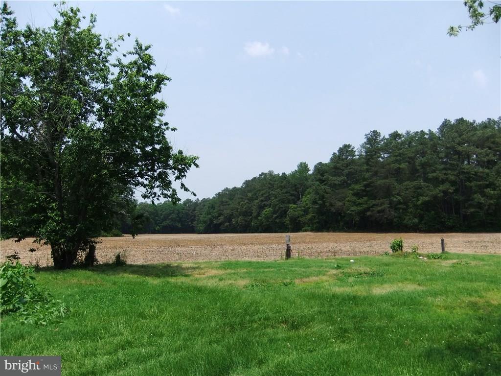 22526 Dorman Road Lewes, DE 19958 - Photo 1 of 6 Gallery Image 1