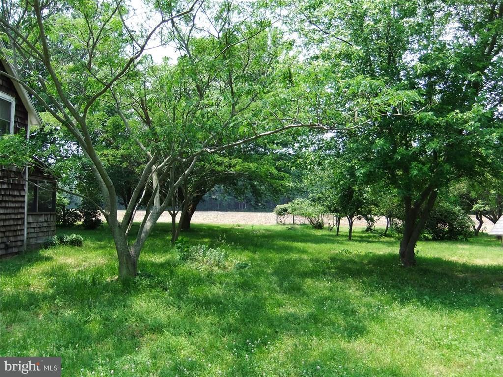 22526 Dorman Road Lewes, DE 19958 - Photo 2 of 6 Gallery Image 2
