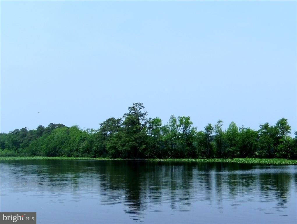 22526 Dorman Road Lewes, DE 19958 - Photo 6 of 6 Gallery Image 6