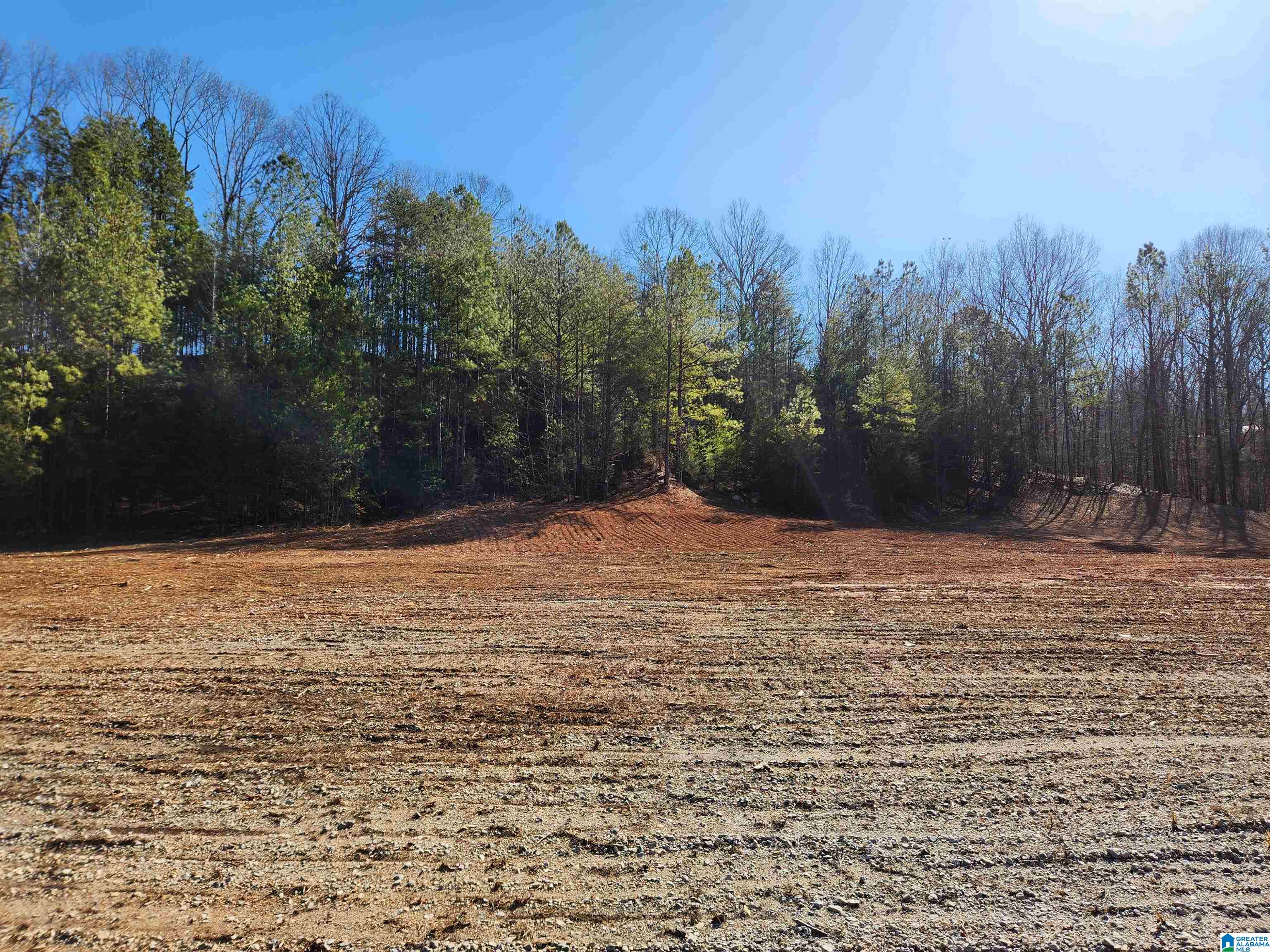 0 Spring Creek Road, Unit 3 Columbiana, AL 35051 - Photo 2 of 14