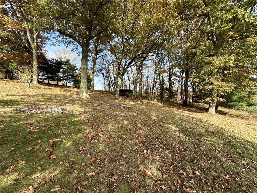 1281 Old State Road Apollo, PA 15613 - Photo 24 of 29 a view of yard with trees