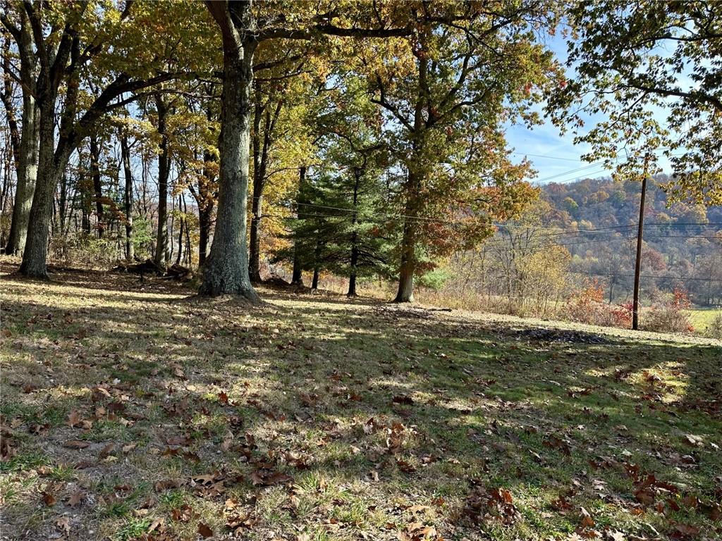 1281 Old State Road Apollo, PA 15613 - Photo 25 of 29 a backyard of a house with a trees