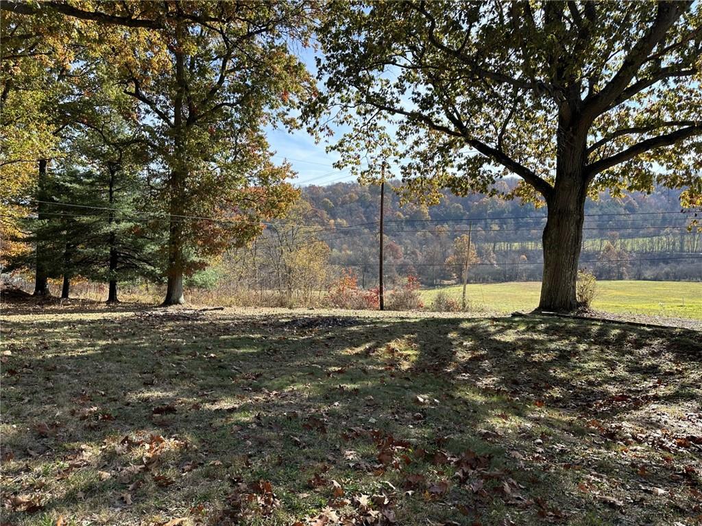 1281 Old State Road Apollo, PA 15613 - Photo 26 of 29 a view of a yard with trees