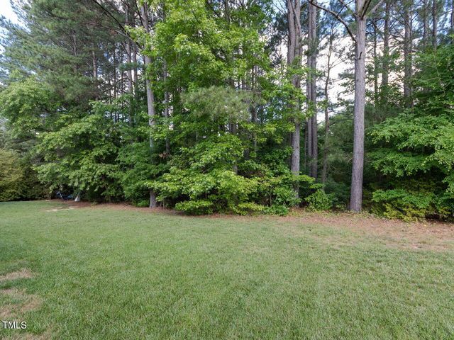a view of a field with trees in the background