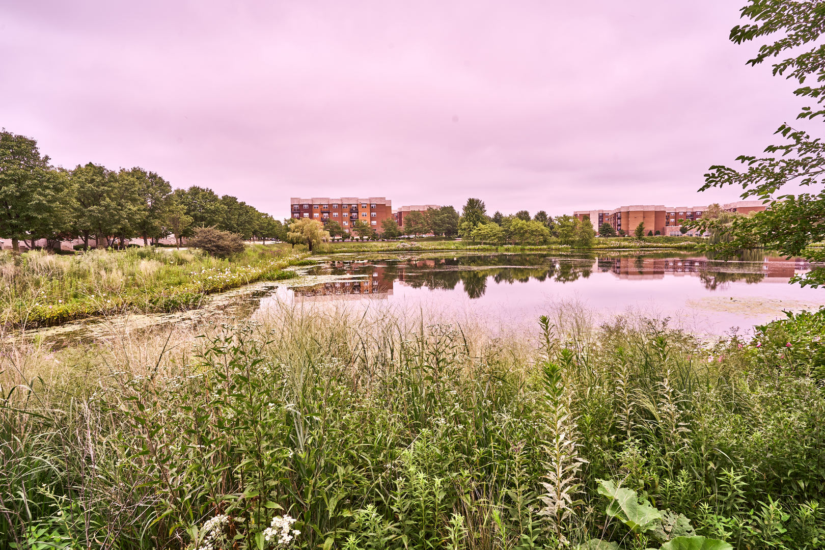 4114 Bethlehem Road Aurora, IL 60504 - Photo 28 of 28 a view of a lake with houses in the back