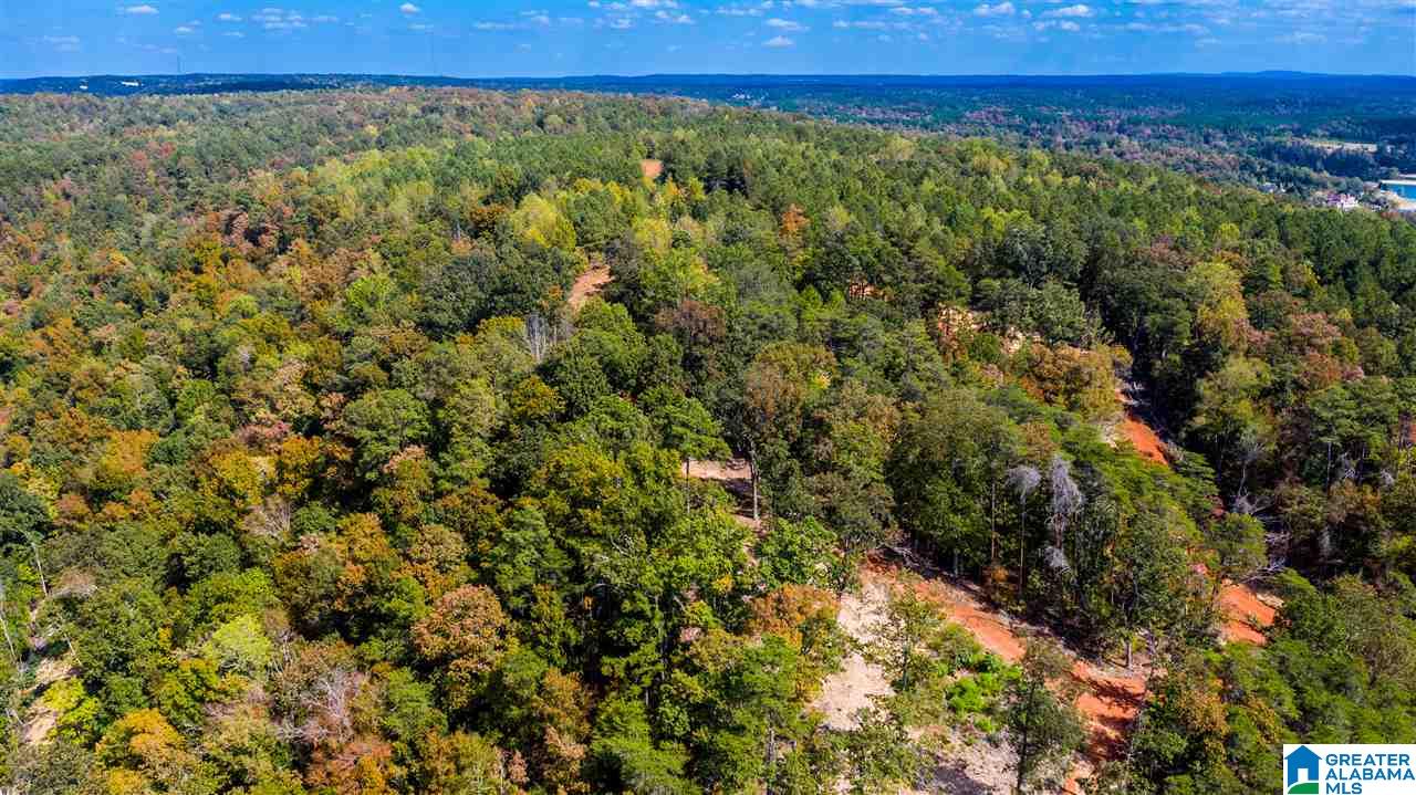 0 County Road 297 Cullman, AL 35057 - Photo 28 of 48