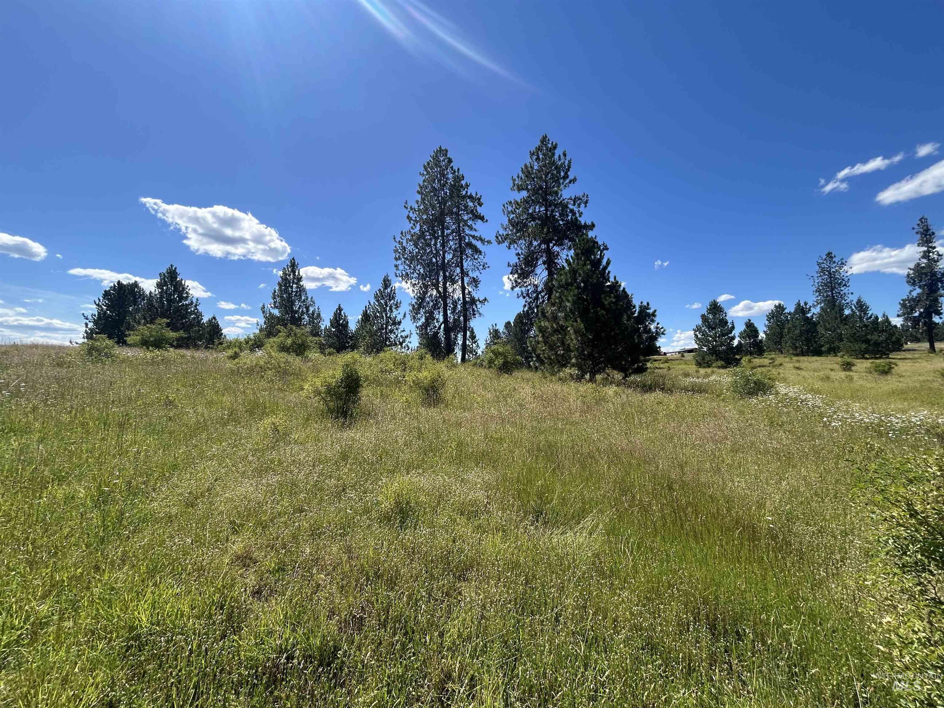 Tbd Lot 2 Tbd Road Kooskia, ID 83539 - Photo 14 of 15