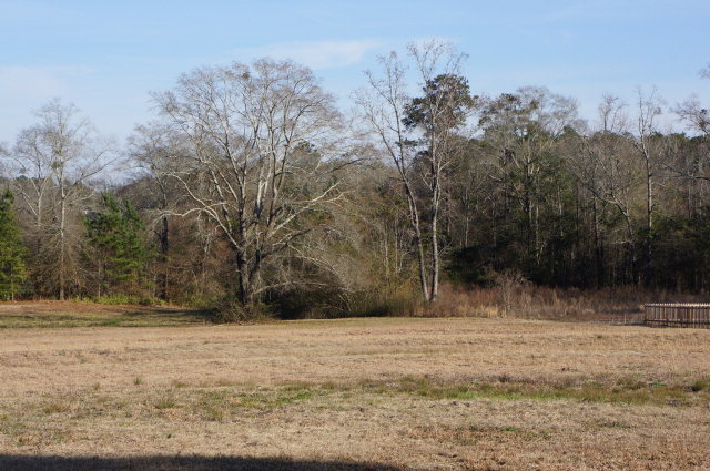 0 Blackman Road Dothan, AL 36301 - Photo 1 of 1