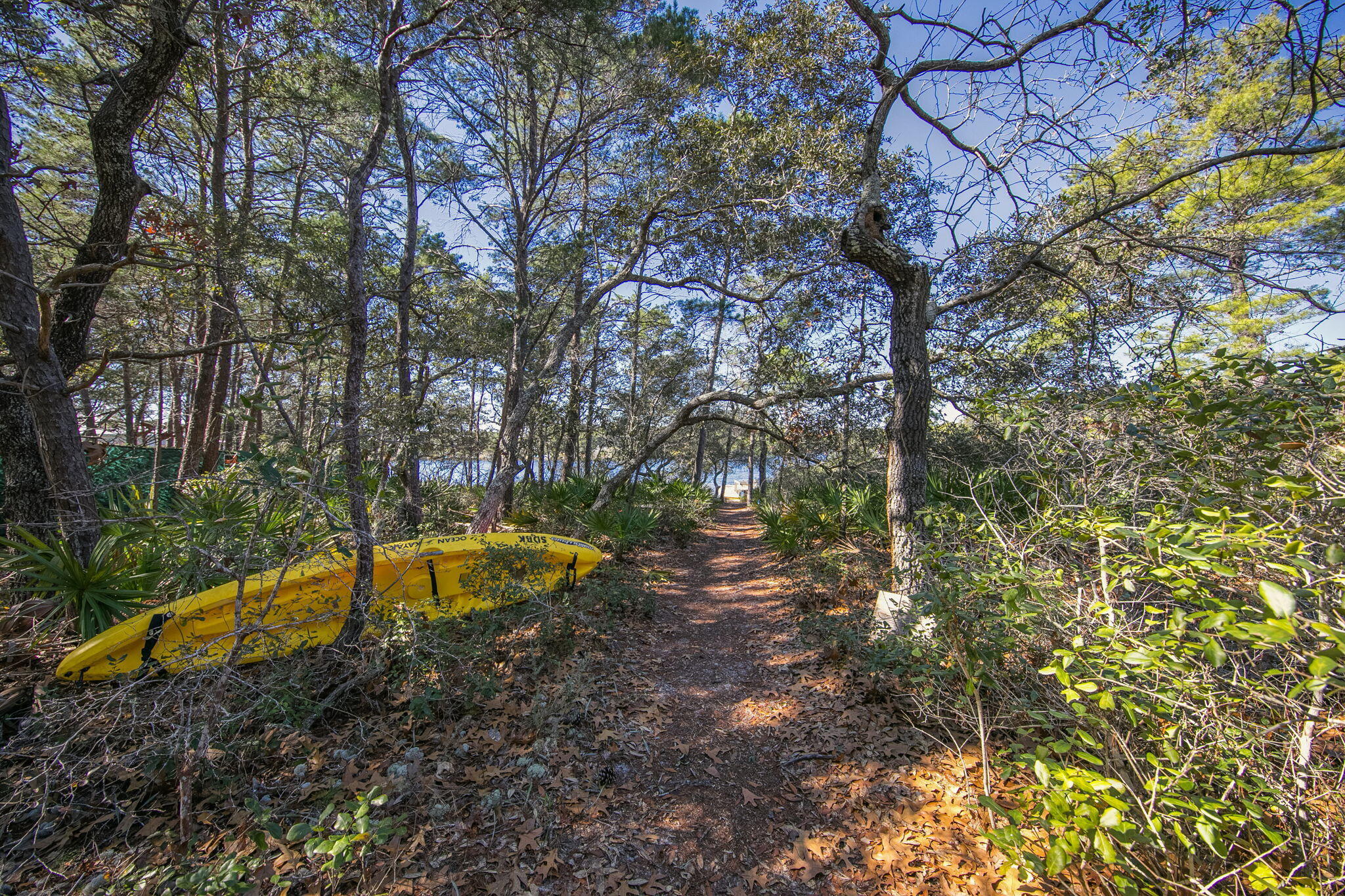 34 Heron's Watch Way, Unit 1202 Santa Rosa Beach, FL 32459 - Photo 35 of 36 a view of a backyard with large trees