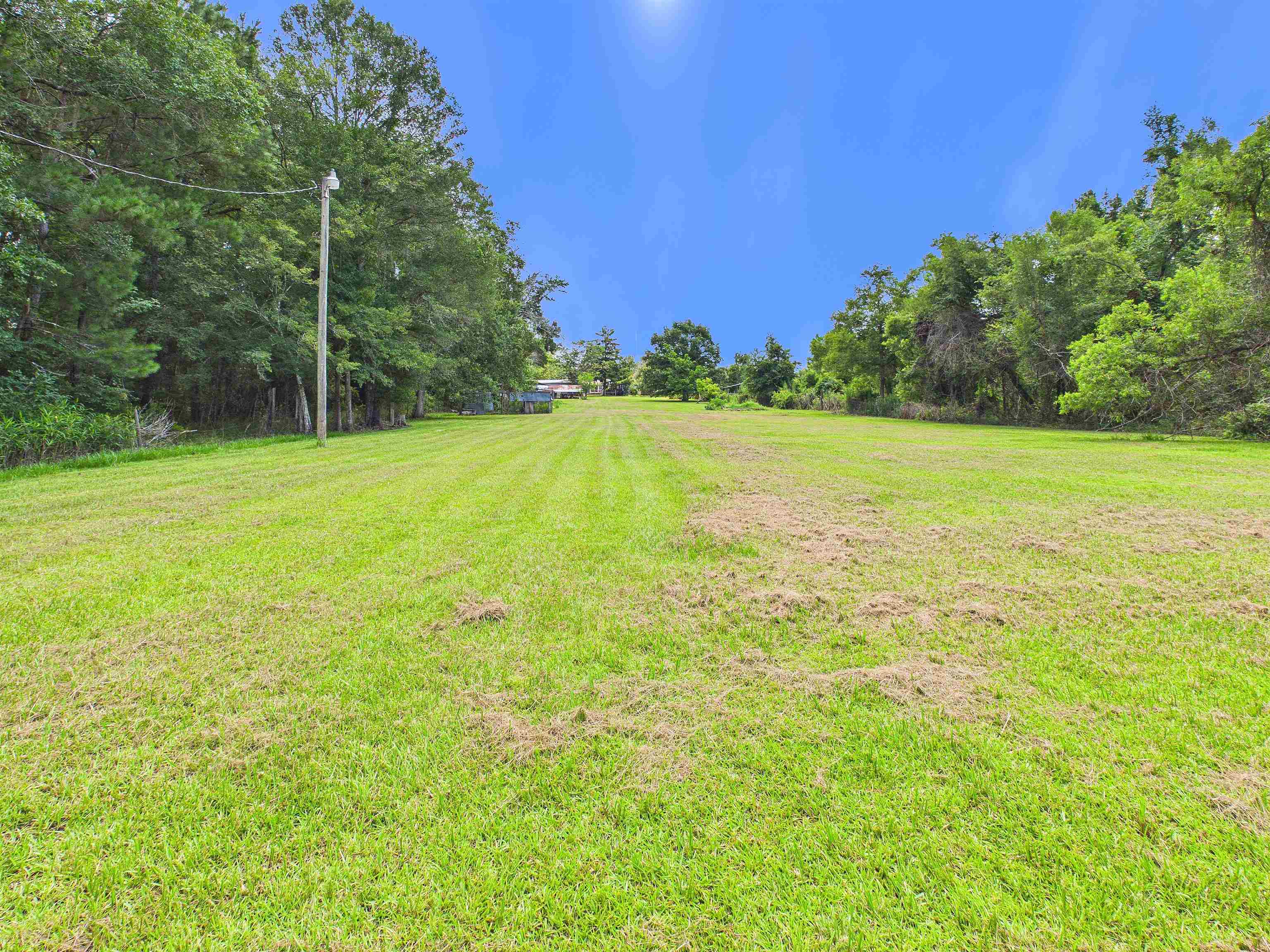 304 Limestone Road Monticello, FL 32344 - Photo 9 of 70