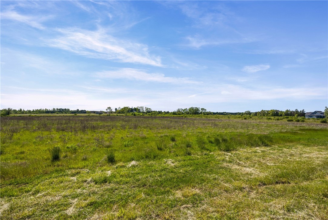 7900 Olmstead Road East Bloomfield, NY 14469 - Photo 9 of 22