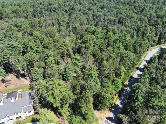 a view of a city with lush green forest