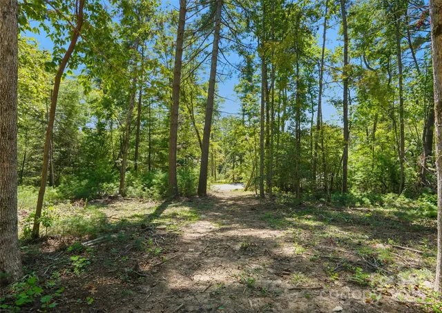 a big yard with lots of green space and trees