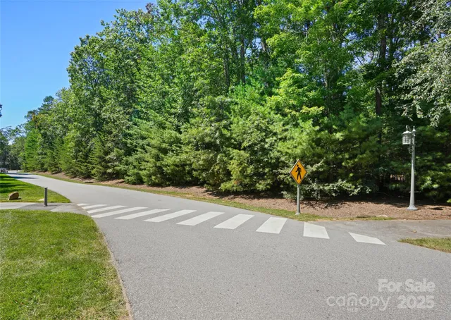 a view of a field with trees in the background