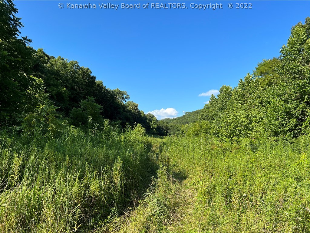 0 Debbie Road Leon, WV 25123 - Photo 2 of 5 Gallery Image 2