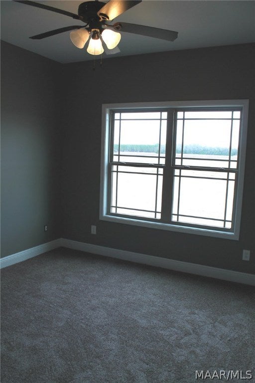 519 Sandbed Road Newton, AL 36352 - Photo 34 of 40 Gallery Image 34
