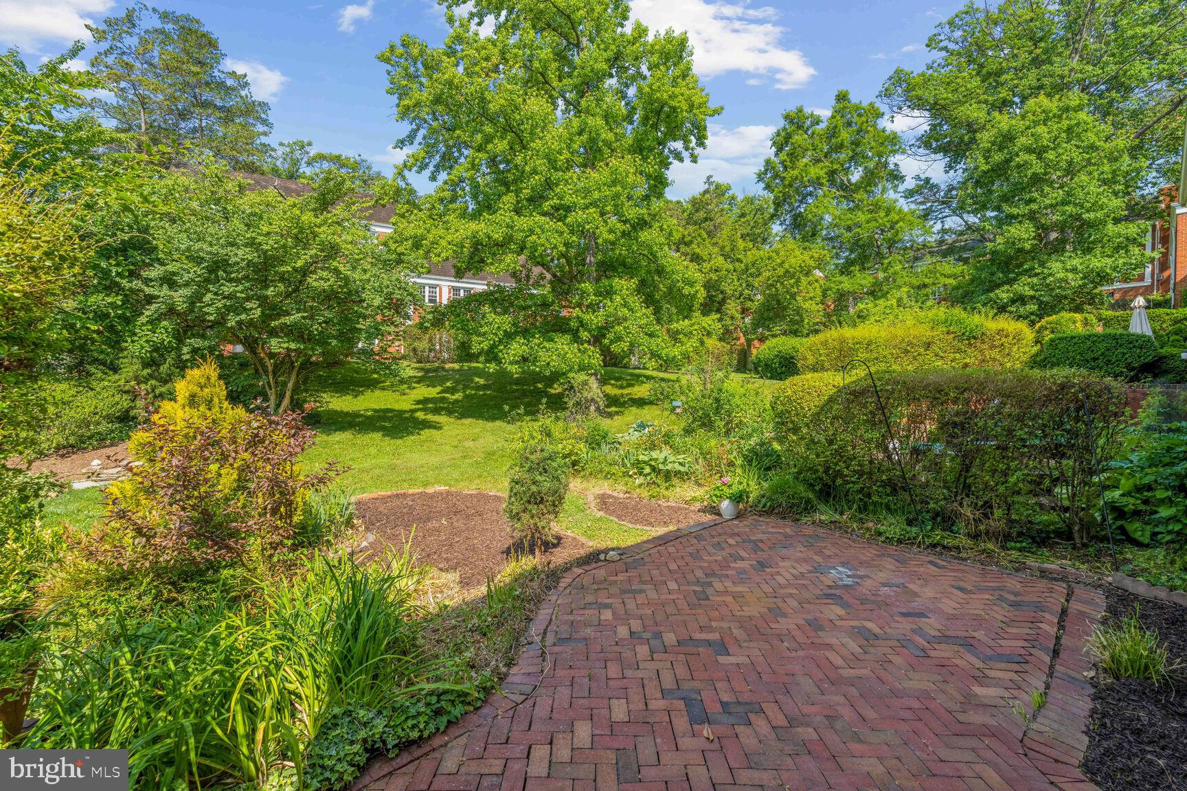 1705 Preston Road Alexandria, VA 22302 - Photo 21 of 24 Patio overlooking green space in the spring