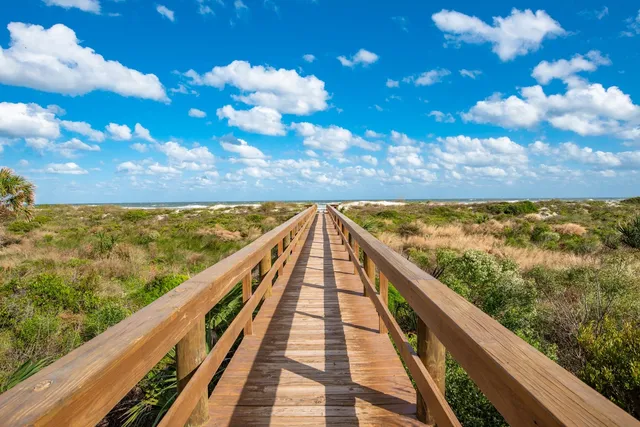 a view of an ocean beach
