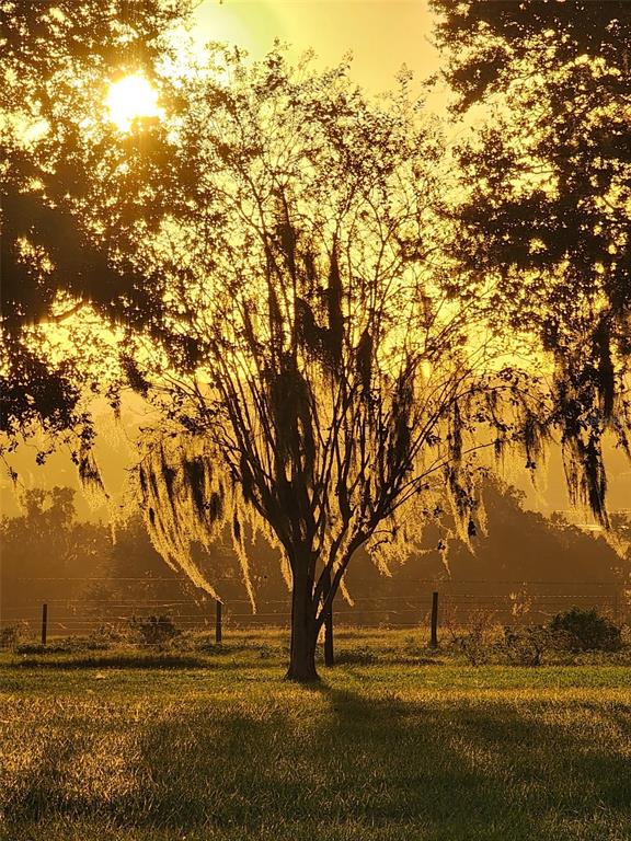 34868 Prospect Road Dade City, FL 33525 - Photo 7 of 95 Gallery Image 7