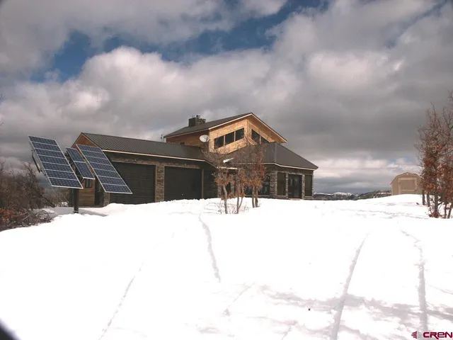 a view of a yard with plants and a tree