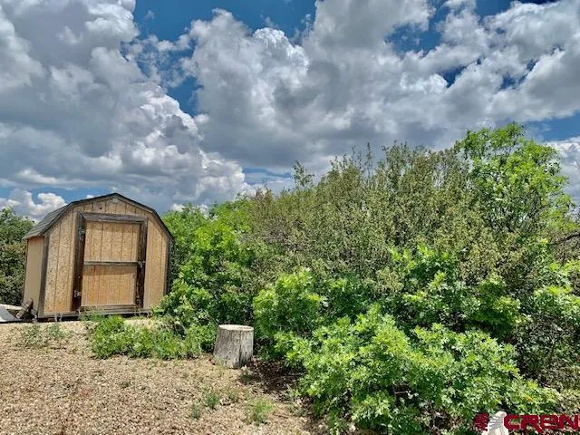 a view of a water from a yard