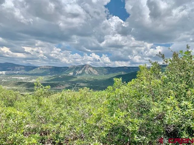 a view of a yard with a mountain