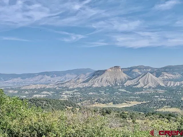 a view of a yard in front of the house