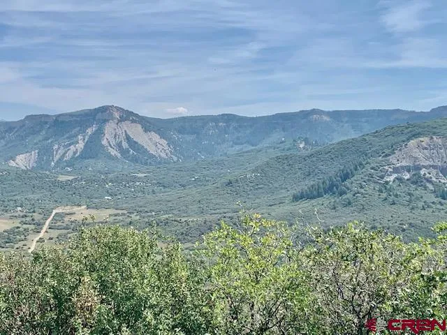a view of a bunch of trees