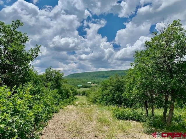 $550,000 | 9638 Road 29, Norwood, CO 81423