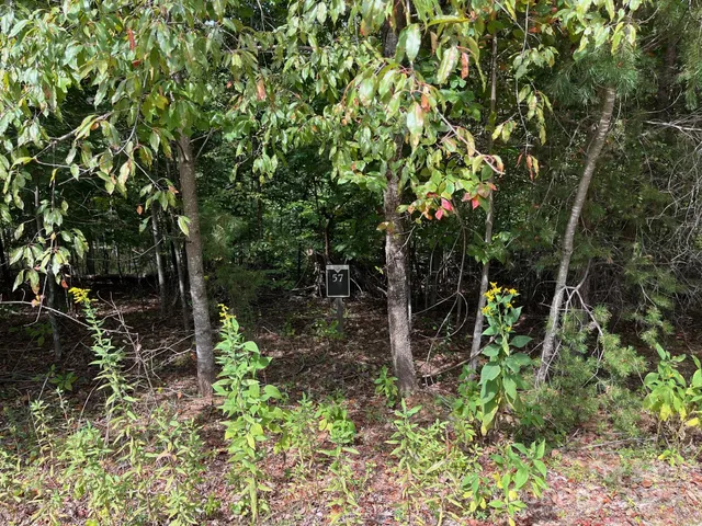 $39,900 | Lot 57 Perennial Drive, Nebo, NC 28761
