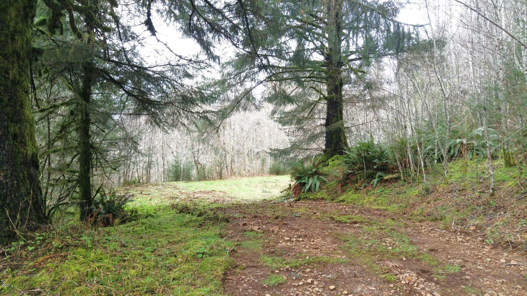 Tl202 Little Nestucca River Road Hebo, OR 97122 - Photo 4 of 10 3