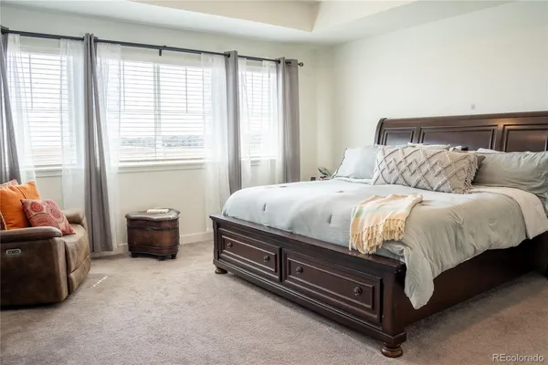 a bedroom with a bed and a couch