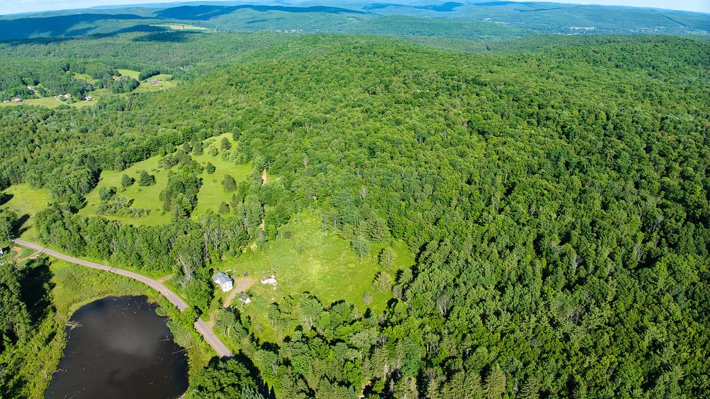 290 Hohreiter Road Guilford, NY 13733 - Photo 43 of 47