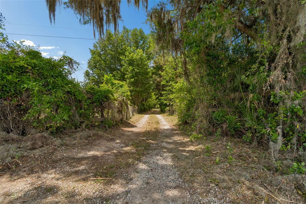 17879 Parrish Grove Road Dade City, FL 33523 - Photo 84 of 99 Gallery Image 84