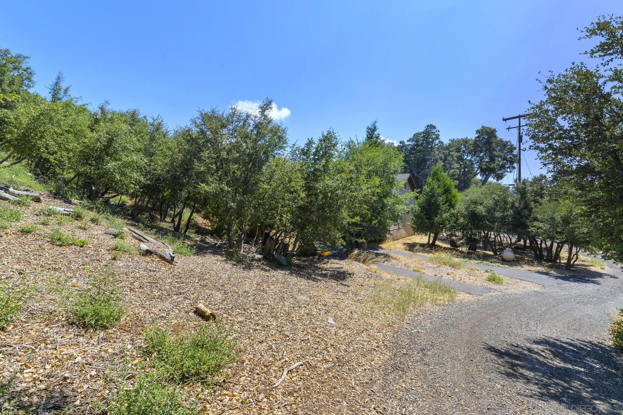 34610 Apache Drive Julian, CA 92036 - Photo 21 of 23 a view of a yard with a tree