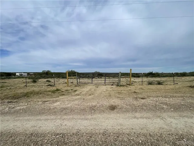 a view of a dry yard with trees