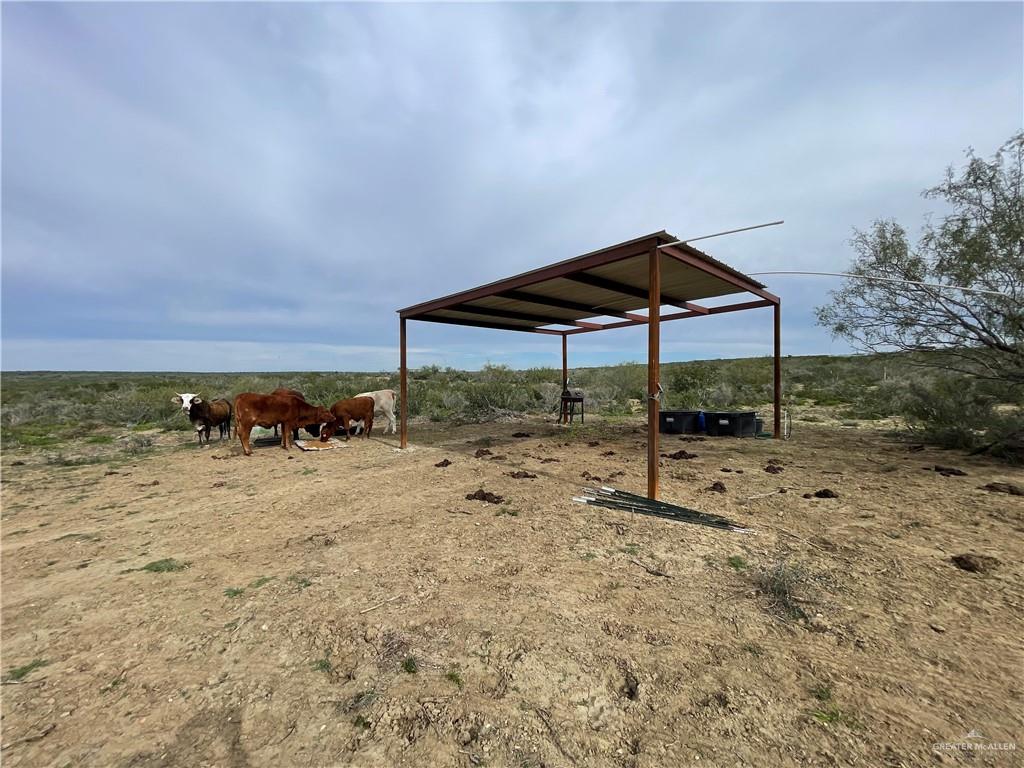 19 Vista Falcon Pvt Road Roma, TX 78584 - Photo 2 of 28
