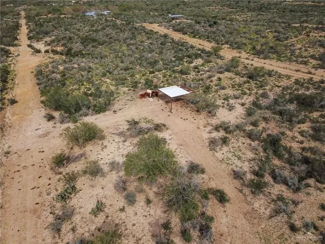 a view of a dry yard with lots of bushes