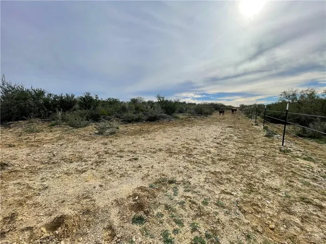 a view of a pathway with a yard