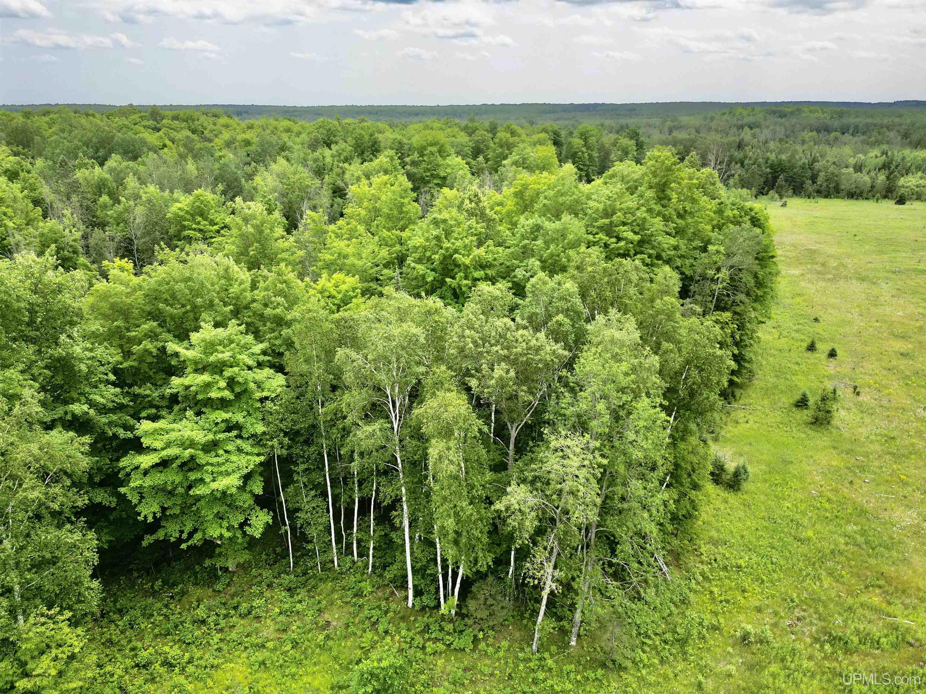 Tbd Tbd Truax Lane Road, Unit 1 Cornell, MI 49818 - Photo 2 of 13