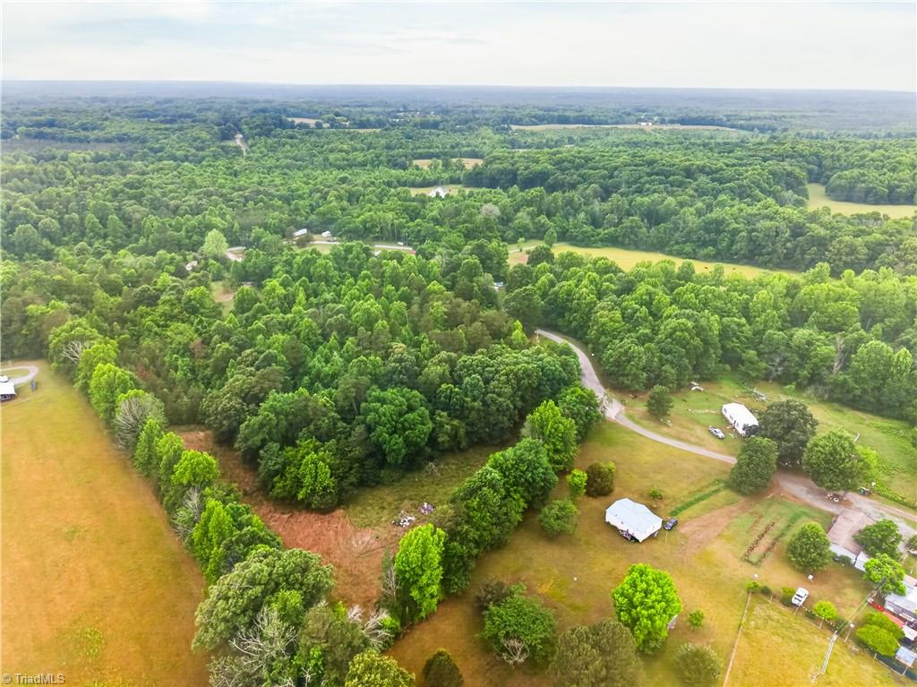 7436 Chaseford Road Liberty, NC 27298 - Photo 13 of 14