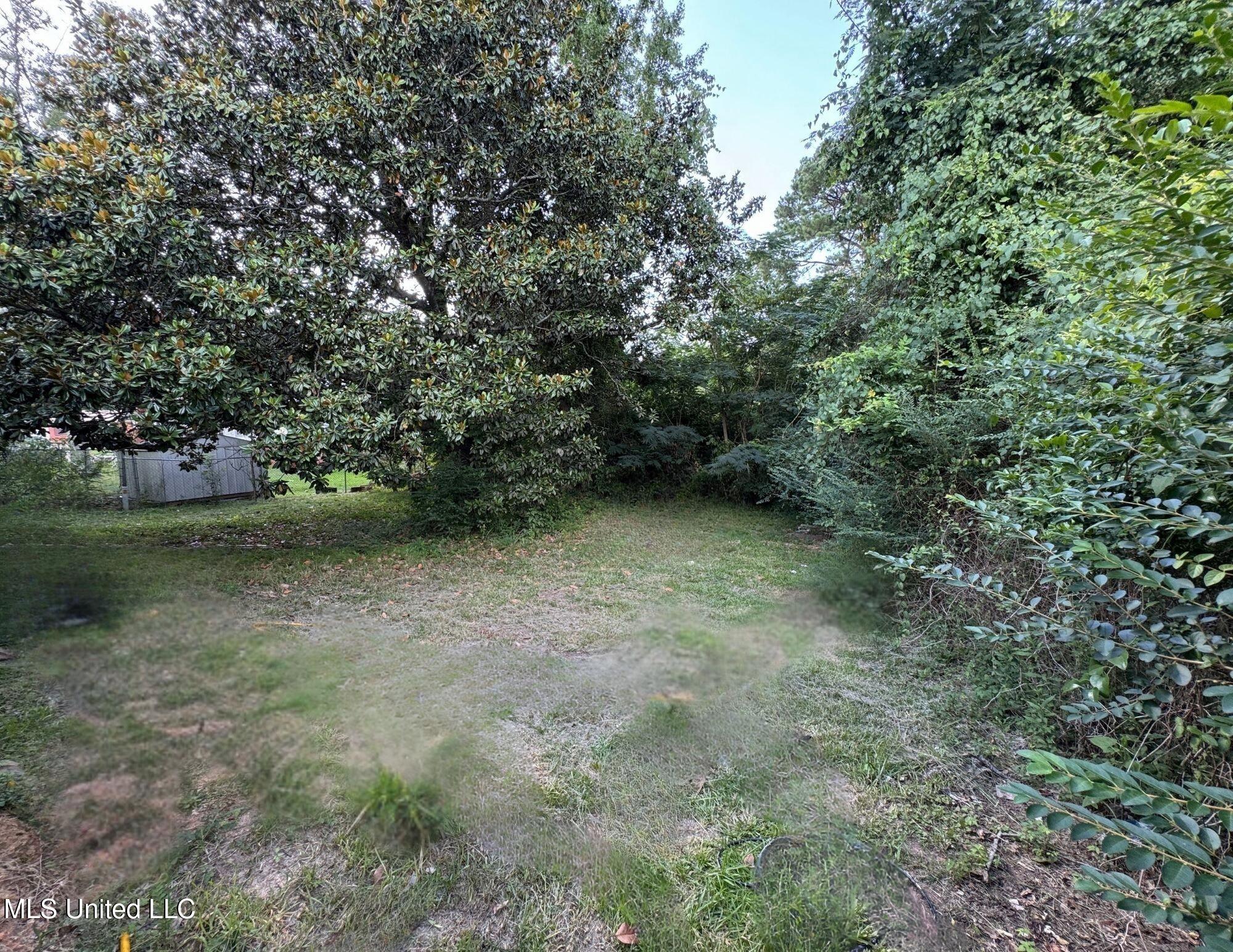 812 Carver Street Carthage, MS 39051 - Photo 3 of 6 18e66cd4-5338-41e3-b81a-49b34d6e5cc0