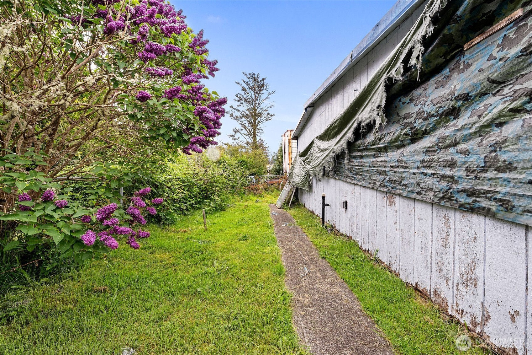 25401 R Street Ocean Park, WA 98640 - Photo 8 of 10 Gallery Image 8