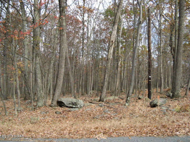 Robin Way Lackawaxen, PA 18435 - Photo 6 of 23