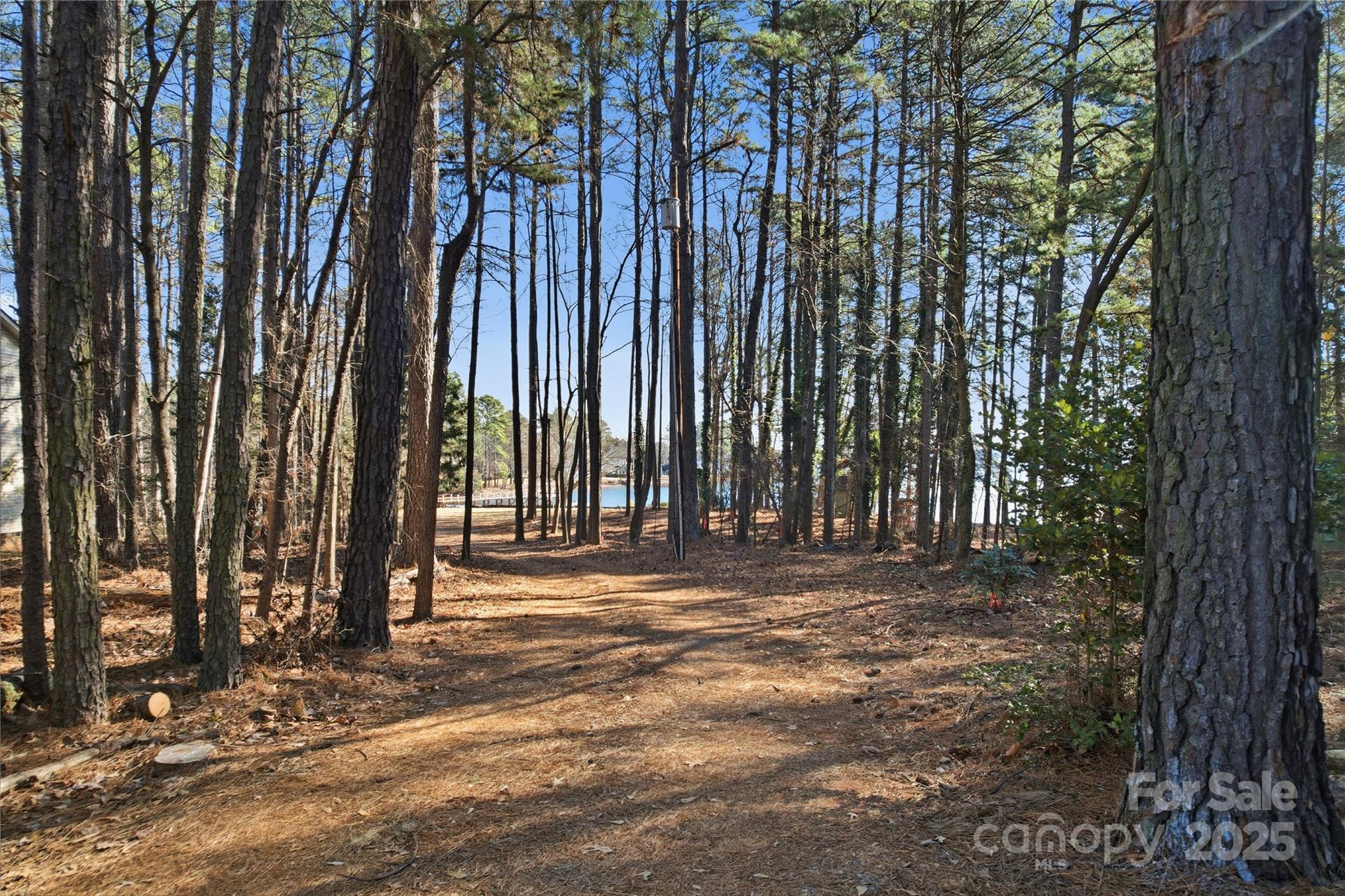 2563 Brawley School Road Mooresville, NC 28117 - Photo 21 of 27 a view of outdoor space and yard