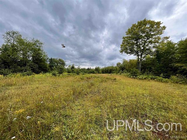 9692 North Laird Road Pelkie, MI 49958 - Photo 39 of 44